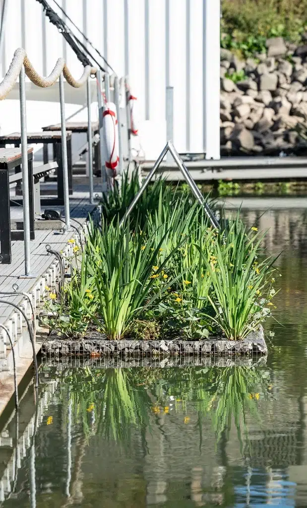 Asahi Kasei Garten 2 XS 1