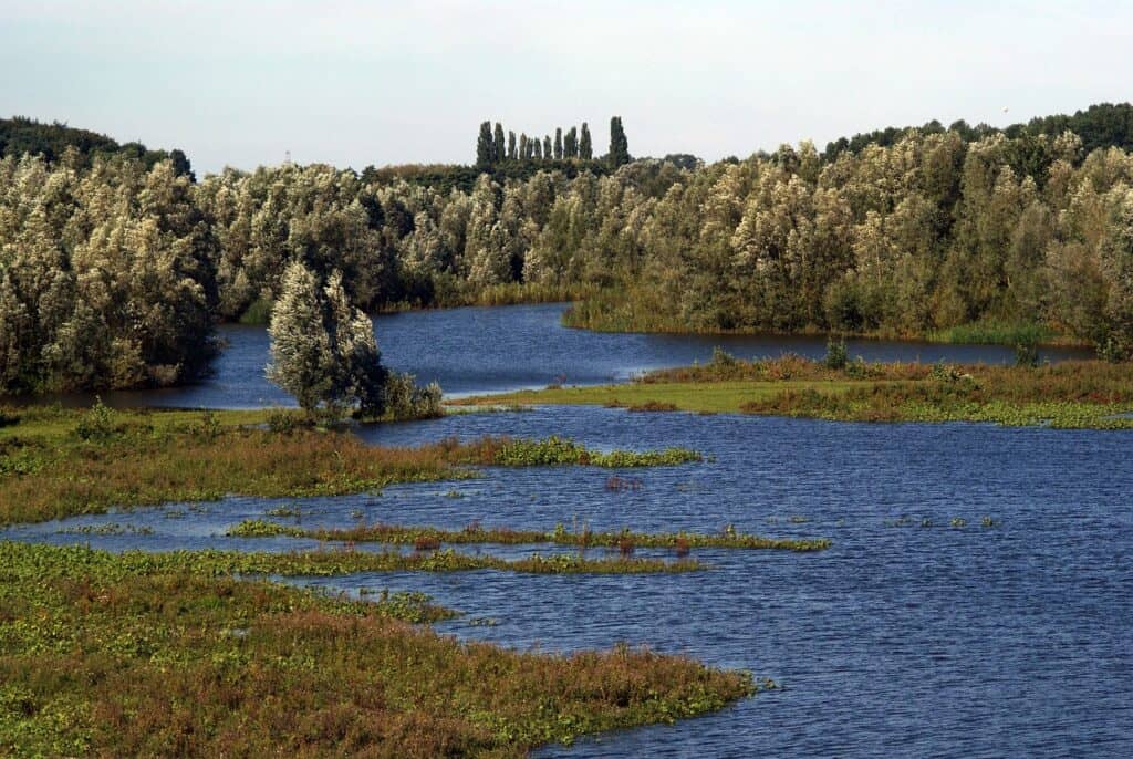 floodplain 7090629 1280