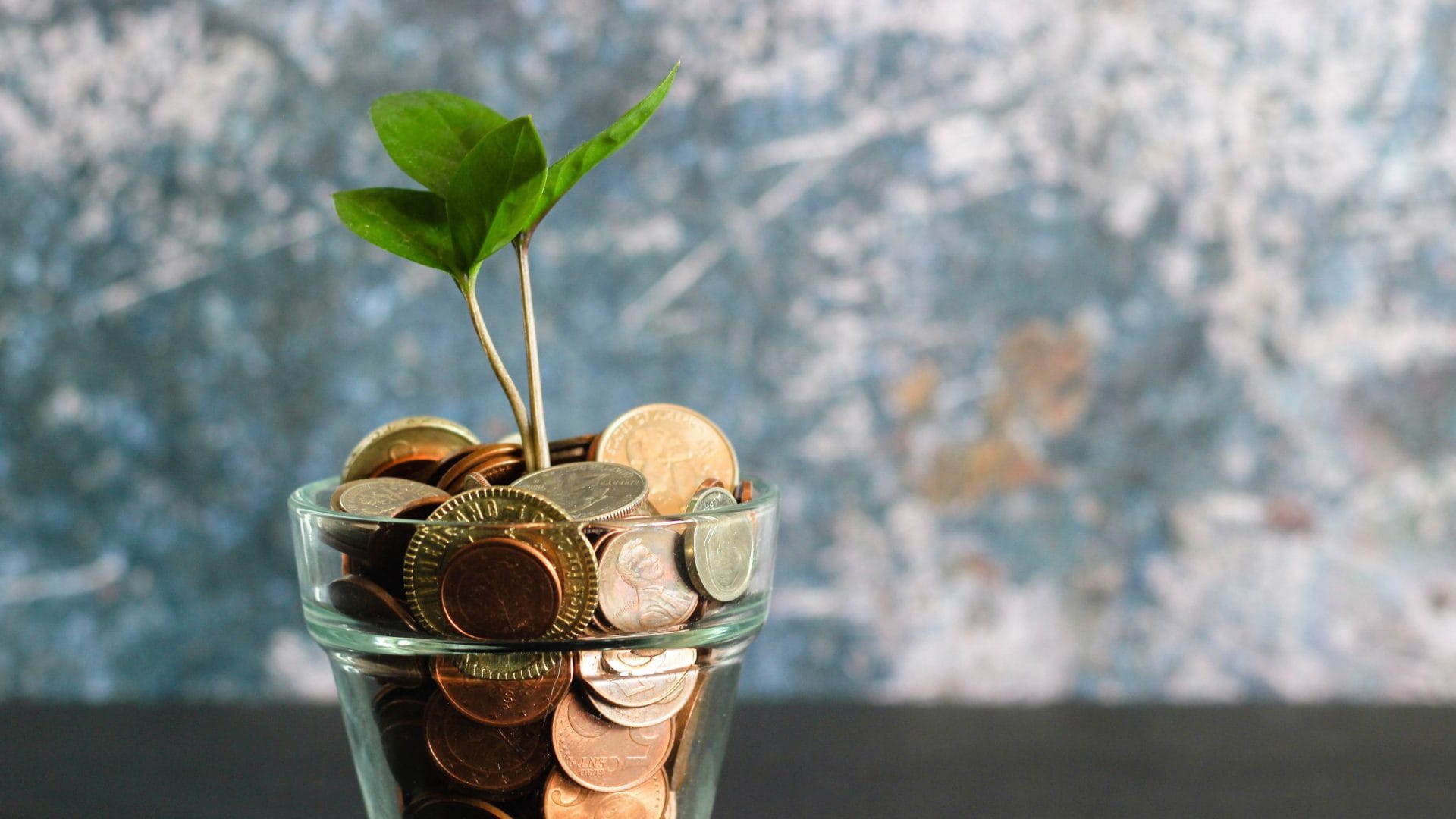 Immer mehr ESG-Loans: Impact mit Payback