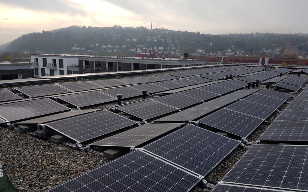 Mehr Solarstrom für Mieter:innen und die Energiewende
