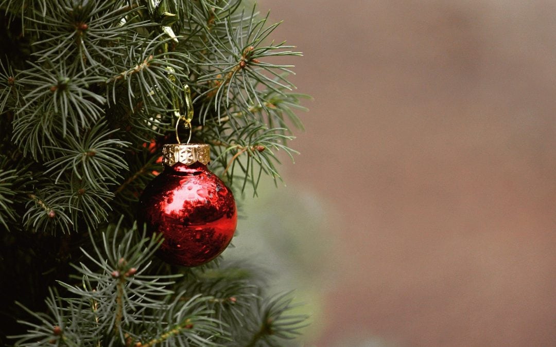 Alternativen für Weihnachtsbäume