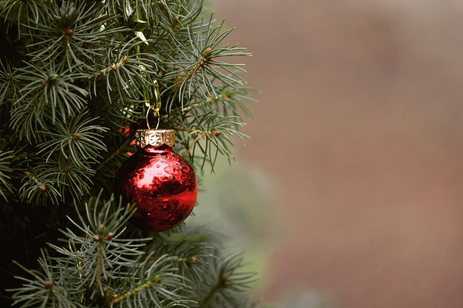 Detailaufnahme einer Tanne mit Weihnachtskugel.