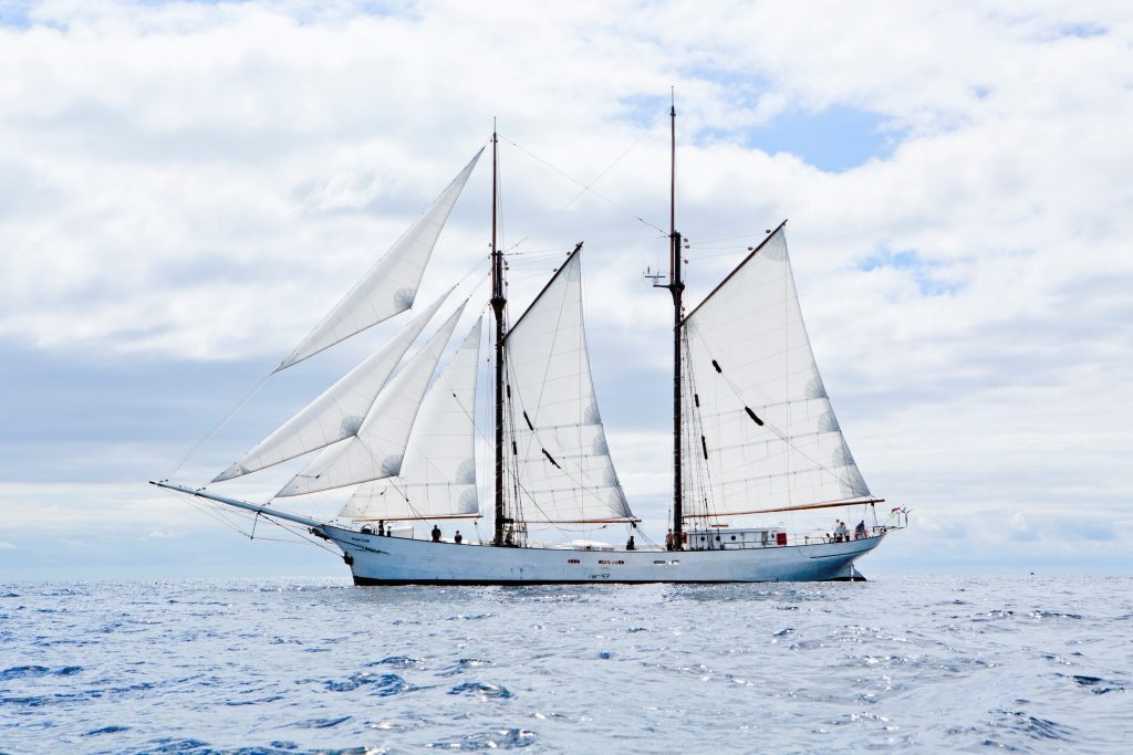 full AVONTUUR c Timbercoast