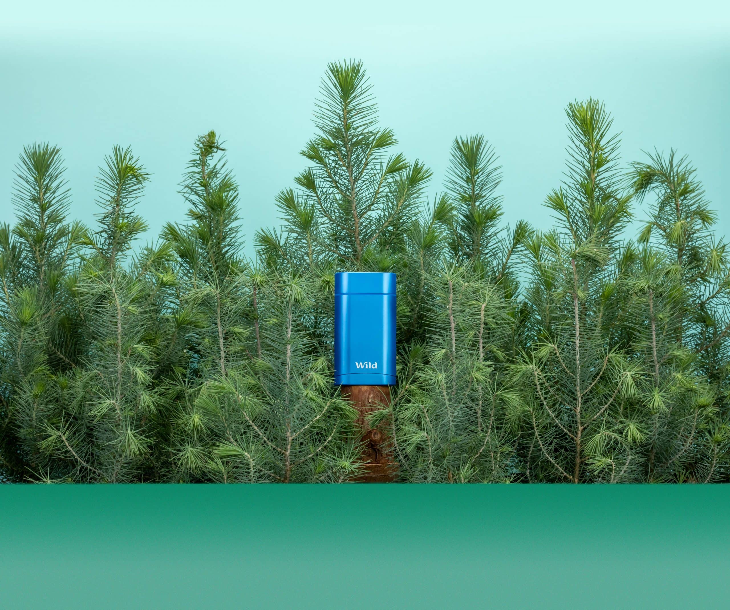 Wild, das Deo ohne Einwegplastik.
