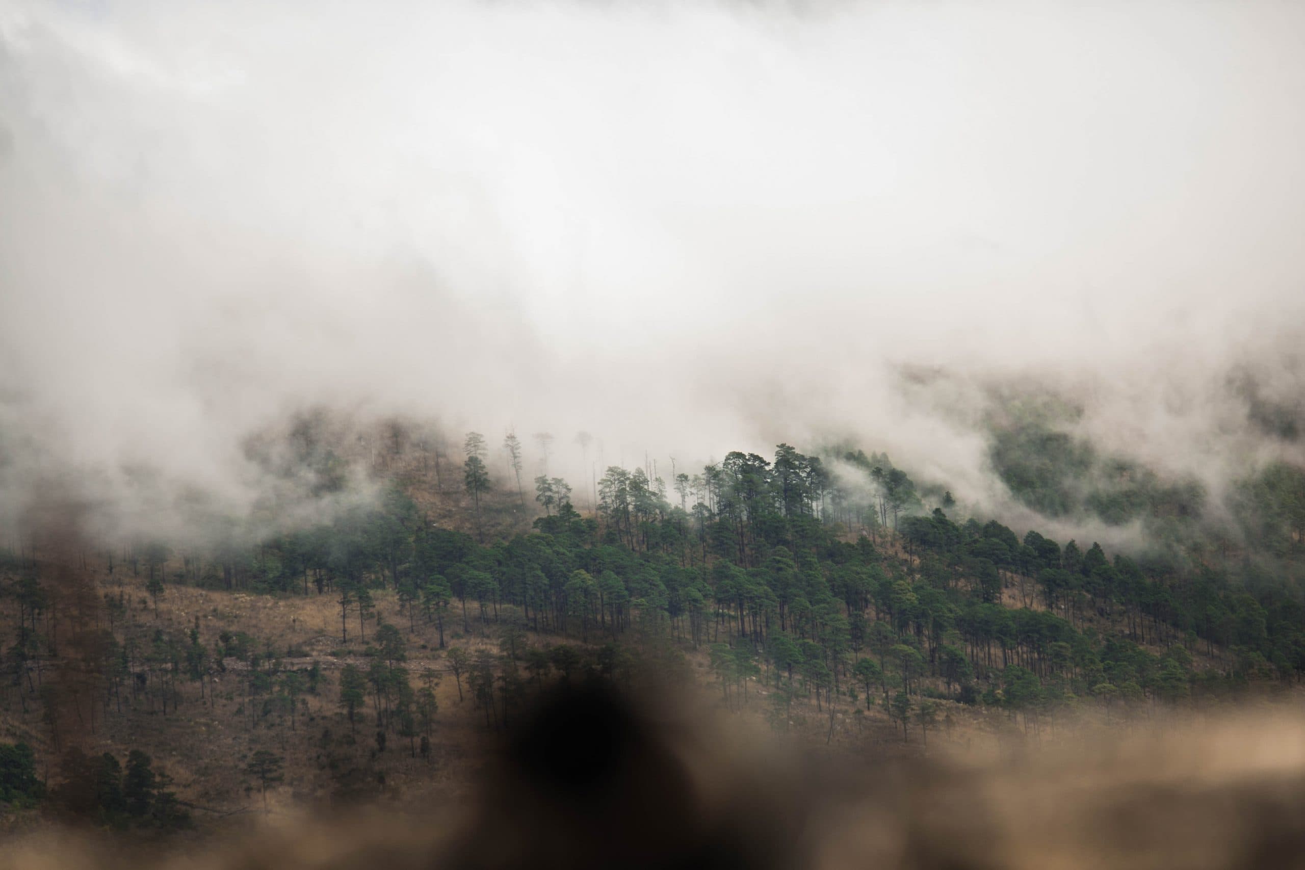Tegucigalpa, Honduras
