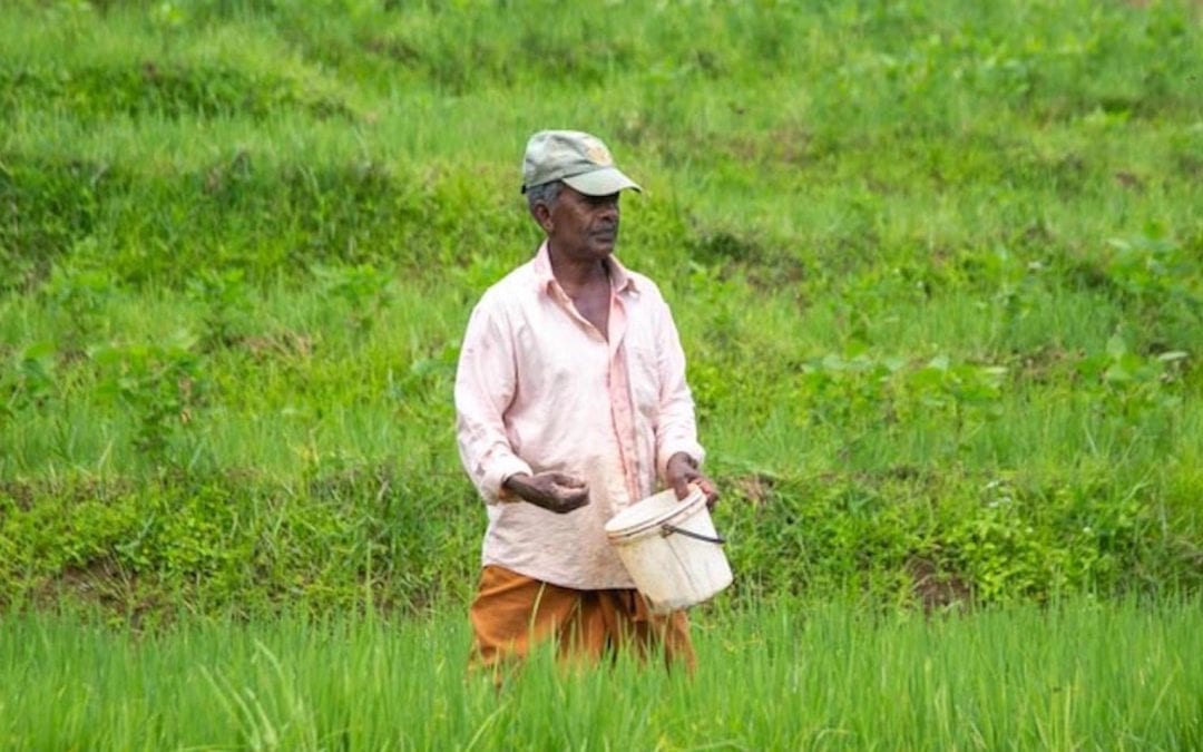 Sri Lanka reduziert Suizidrate durch Pestizidkontrollgesetz um 70 Prozent