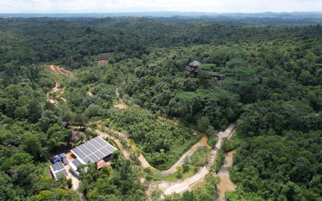 Großprojekt auf Borneo zur Rettung von Orang-Utans setzt auf Solarenergie