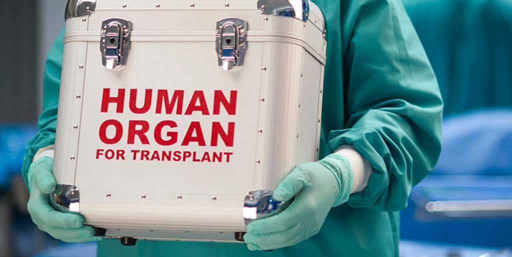 Gute Nachrichten 2022: Transplantation