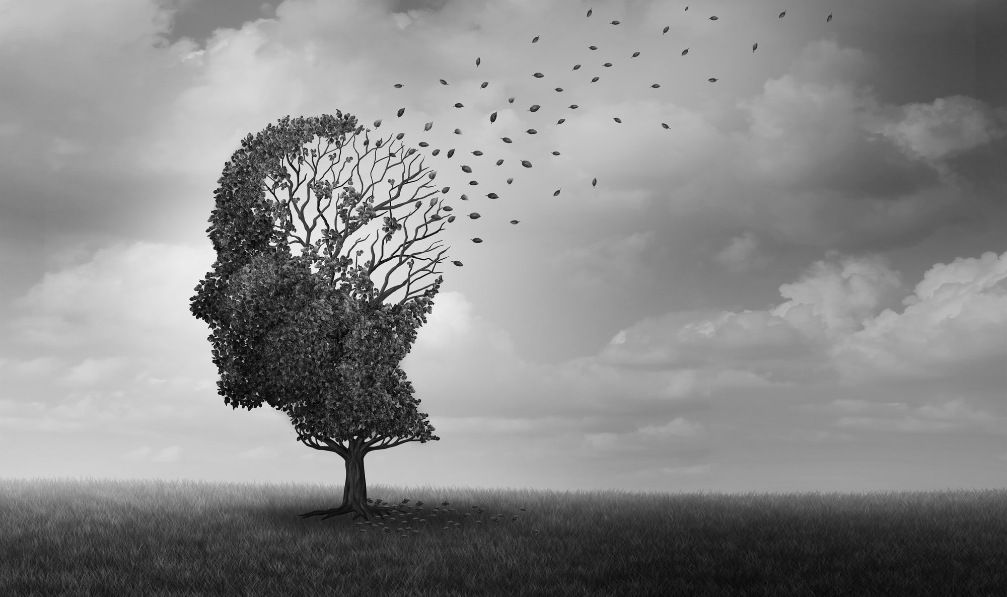 Alzheimer Demenz