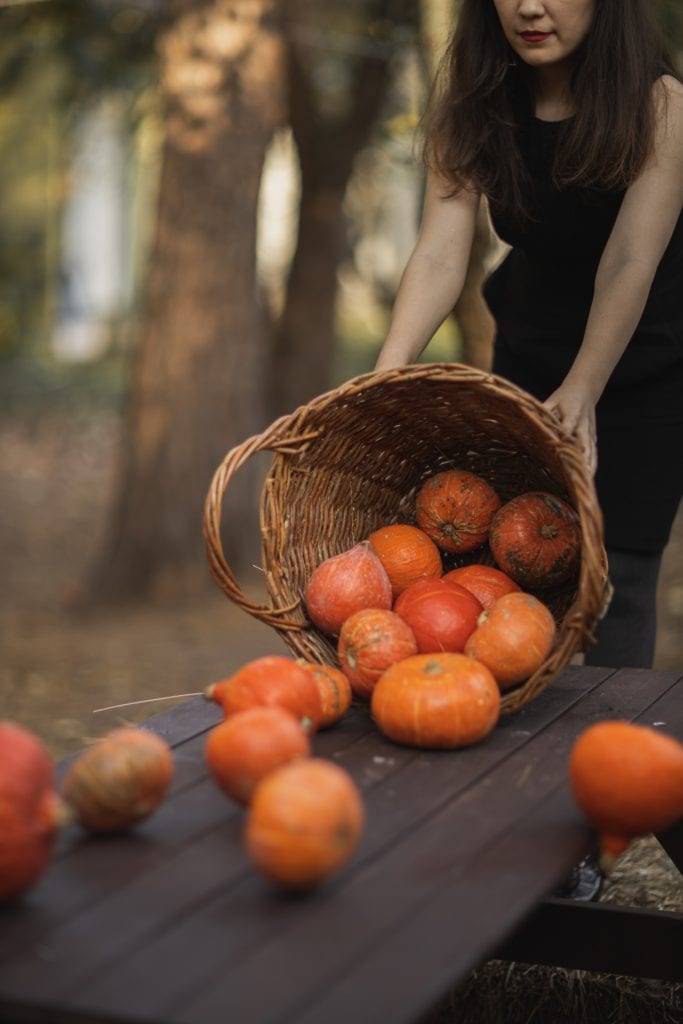 Suppen, Tartes und Schnitzspass - Kürbisse sind beliebte Herbstbegleiter. Bild: pexels