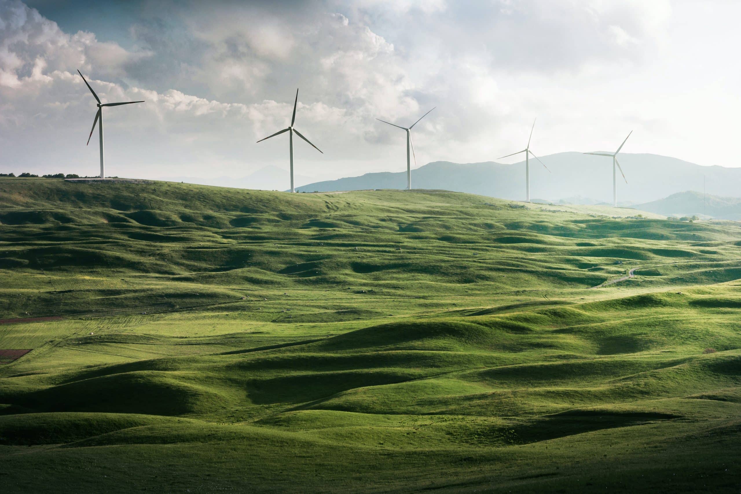 Erneuerbare Energien erreichen in 87 Ländern Fünf-Prozent-Hürde