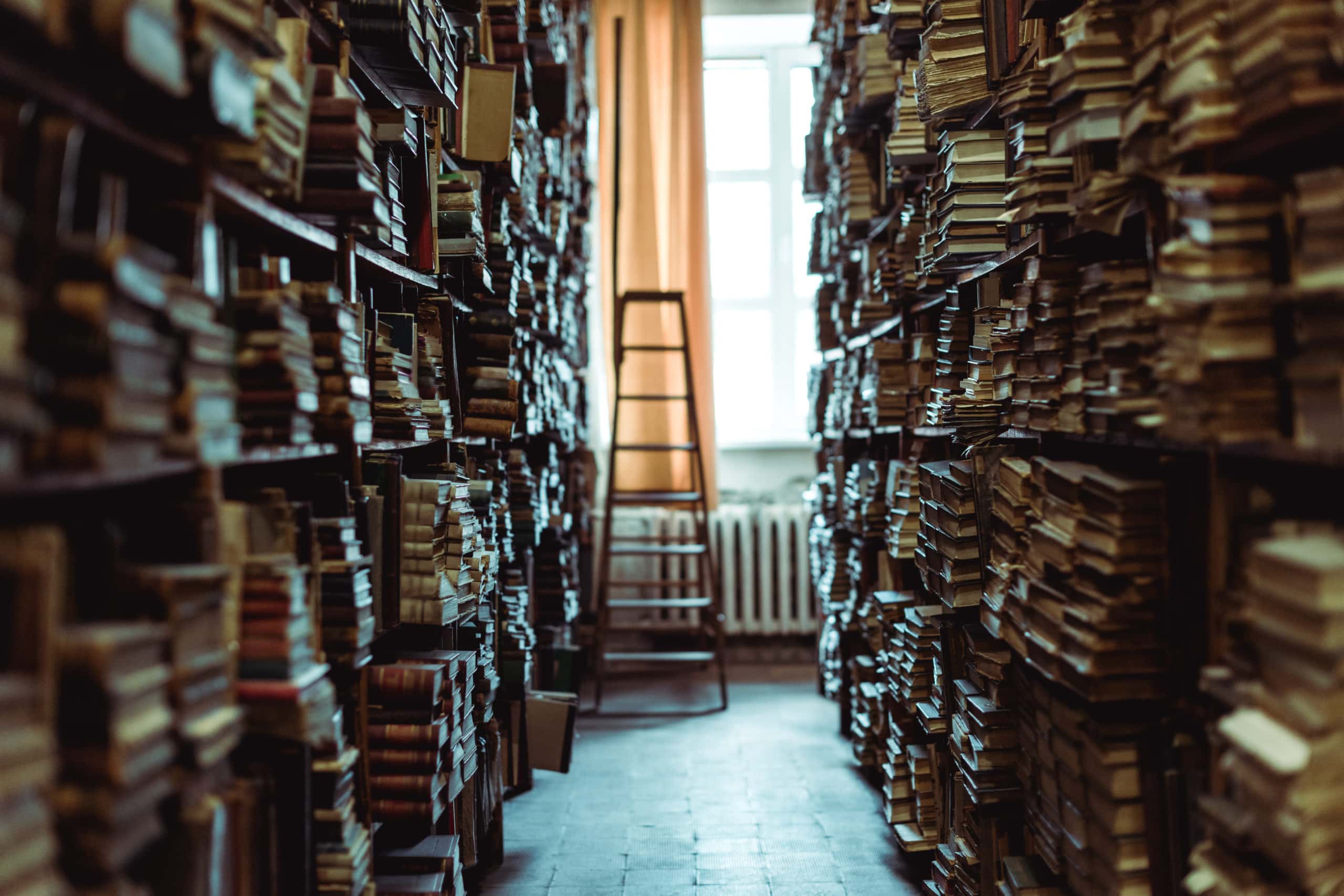 Türkische Bücherei führt weggeworfene Bücher aus Müll