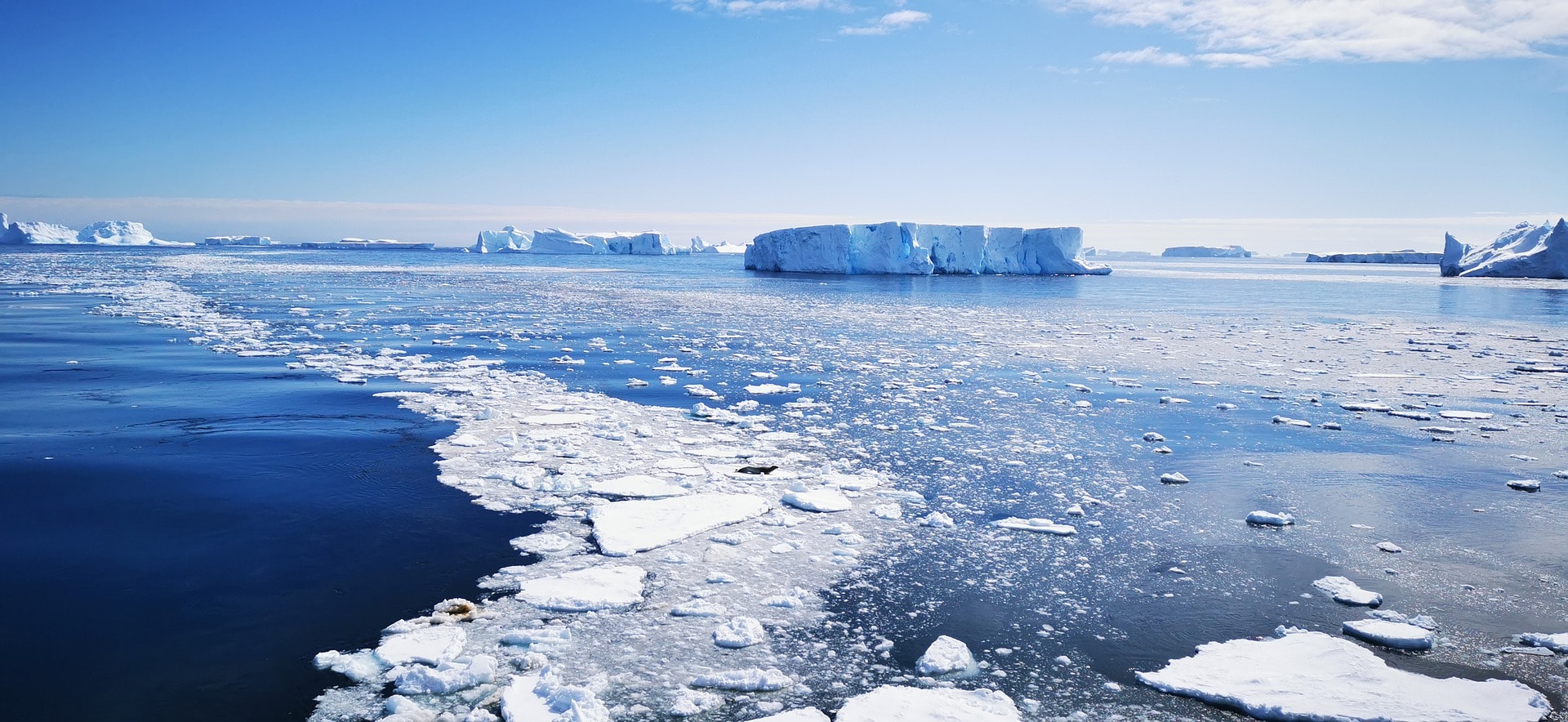 Eisberg in der Antarktis. Eischollen im Meer.