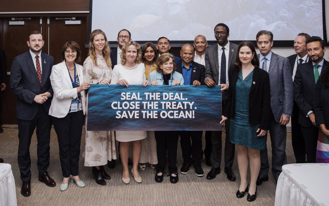 UN einigen sich auf ein Abkommen zum Schutz der Hohen See