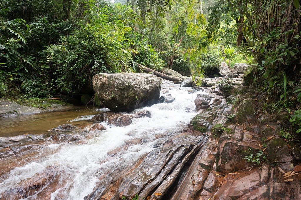 Reißender Fluss mitten in einem tropischen Wald. In dem Fluss liegen große Felsbrocken und alte umgekippte Bäume.