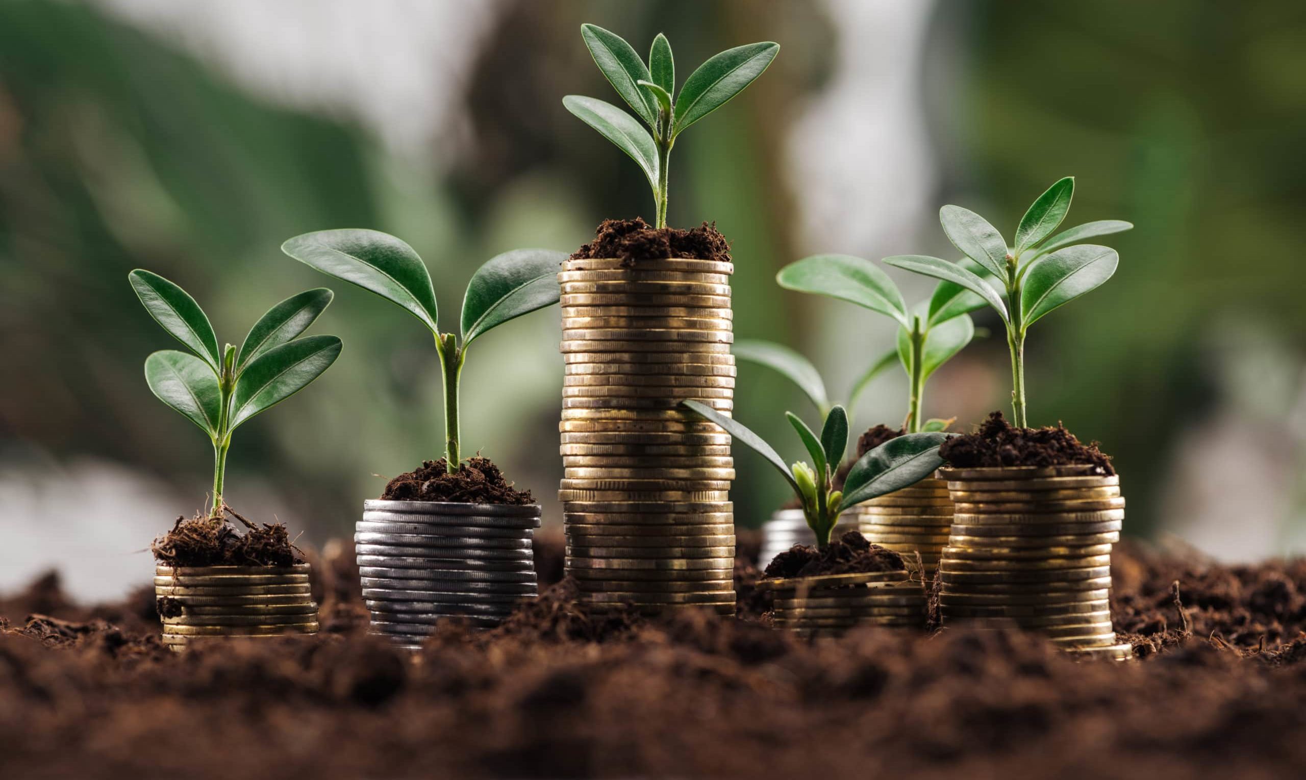 Wohlhabende Menschen verursachen höhere Emissionen – doch mittlerweile gibt es viele Ansätze zur Verringerung dieser Emissionsungleichheit.