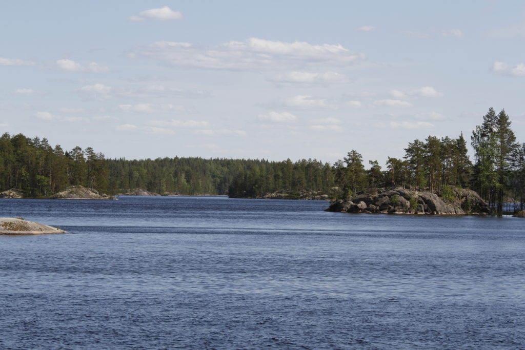 Der Saimaa-See ist die Heimat der Saimaa-Ringelrobbe: ein riesiger See voller Inseln, umrandet von dichten Wäldern