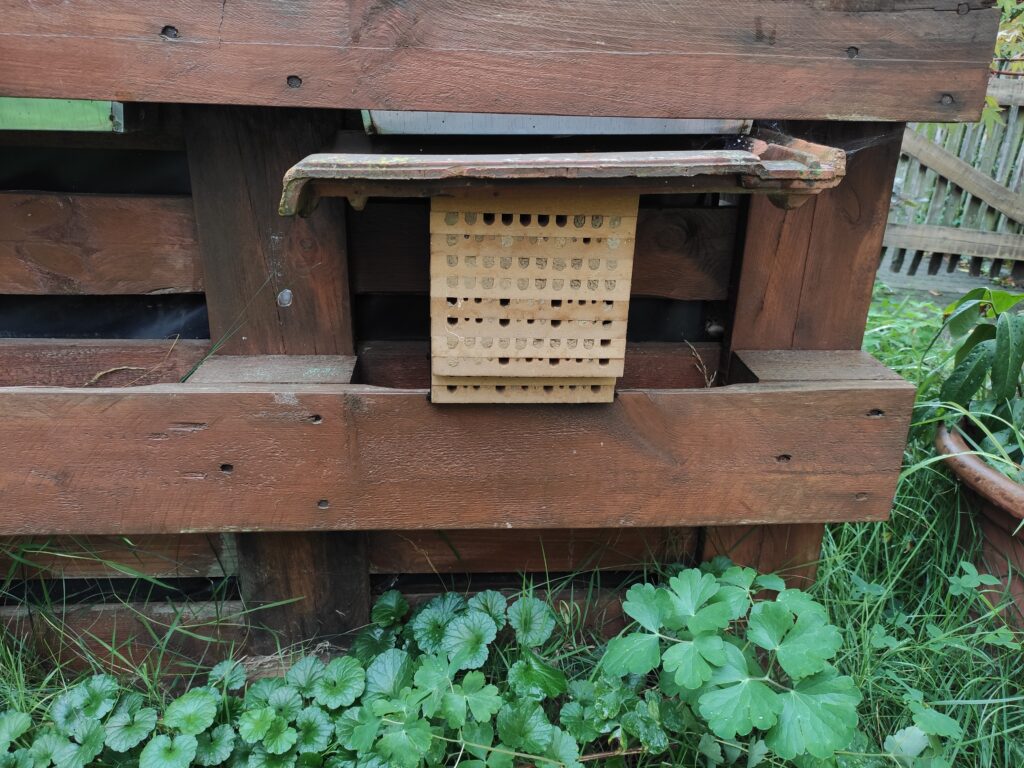 Nistblock für Wildbienen an einem Hochbeet aus Paletten angebracht