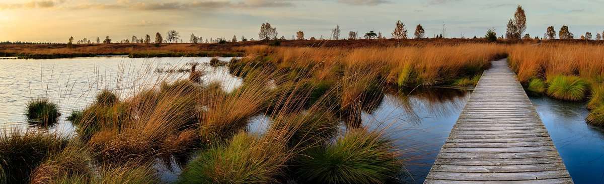 Ein Moor beim Sonnenuntergang