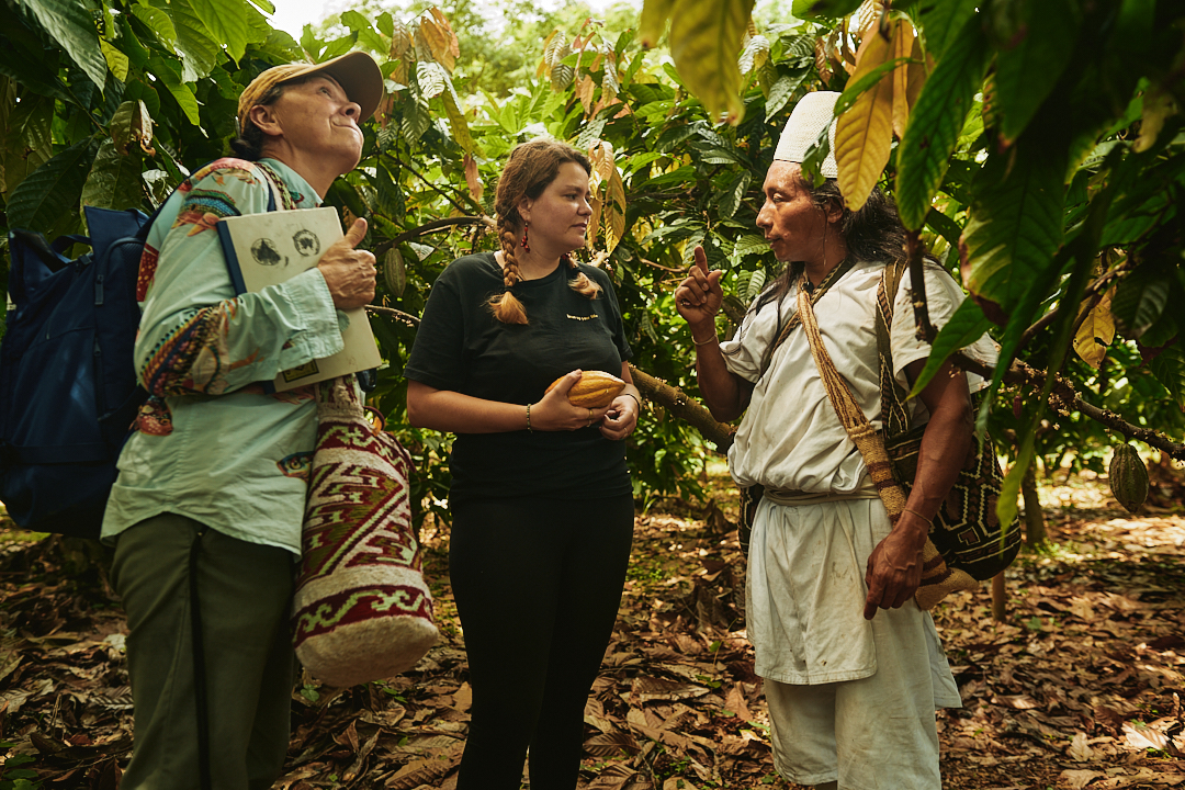 Cacao Collectors: Wie Kakao als Superfood neu entdeckt wird