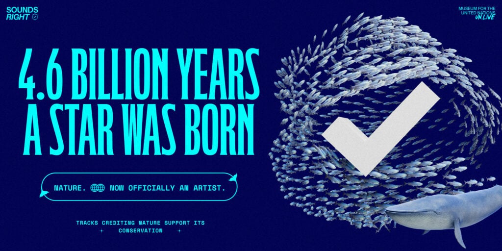 Sounds Right - Nature is now an artist
