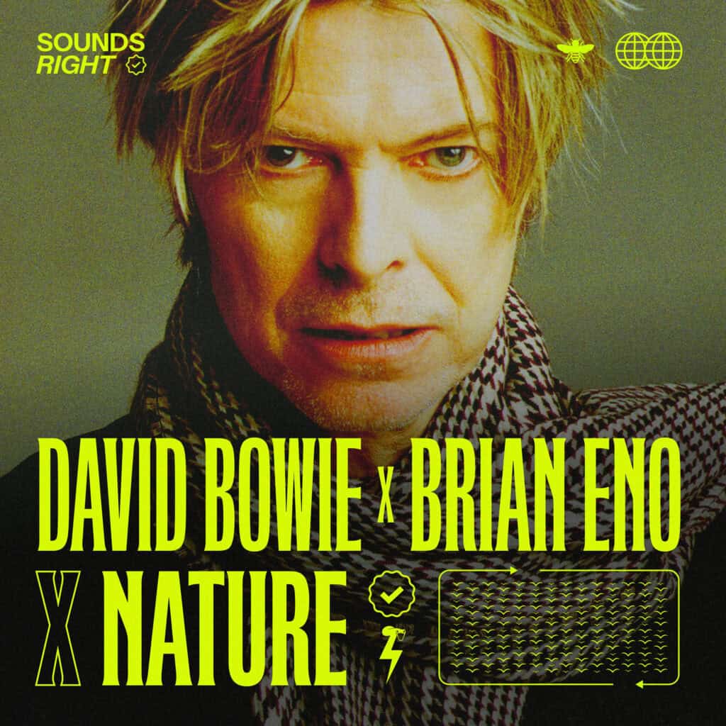 Sounds Right - Nature is now an artist David Bowie