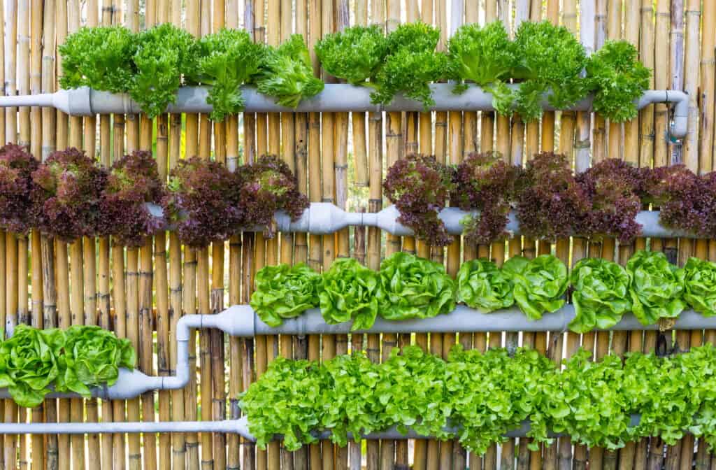 In unserer Serie „Nachbarn für Nachbarn” stellen wir euch regelmäßig Nachbarschaftsprojekte vor, die von der nebenan.de Stiftung gefördert werden. In Folge 2 geht es um Vertical Farming in einem Nachbarschaftshaus in Berlin.