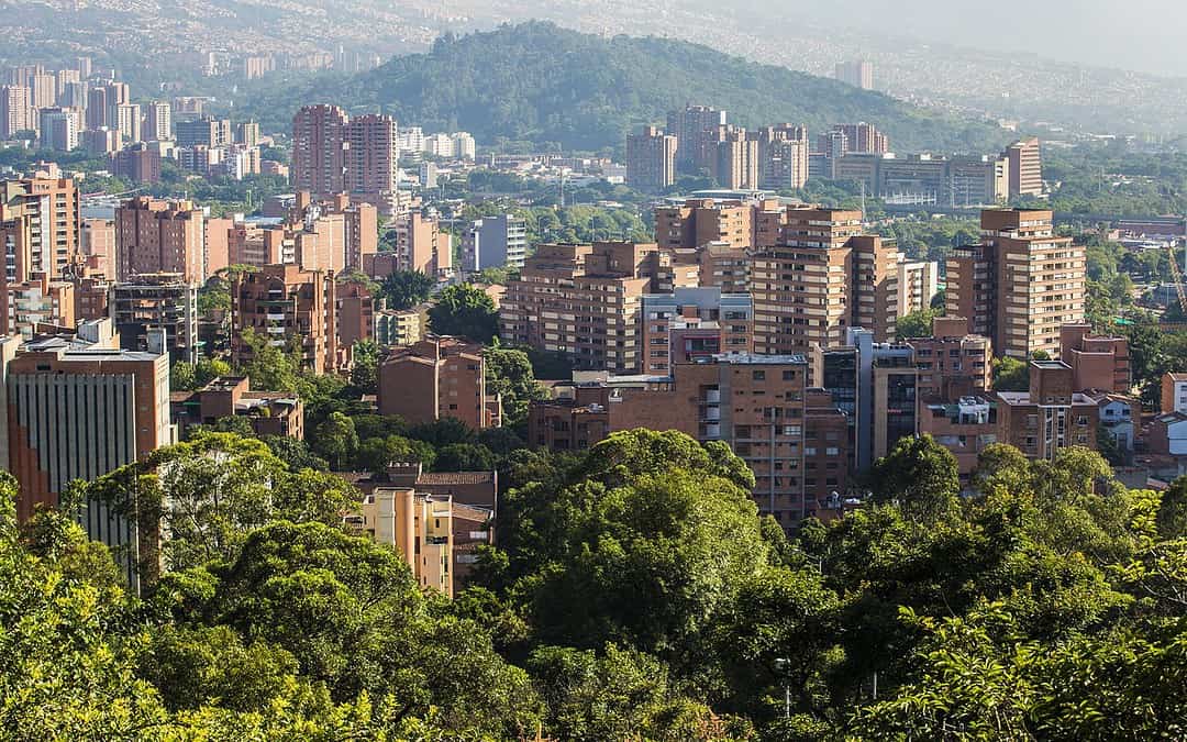 Ehemalige Kartell-Hauptstadt Medellín pflanzt hunderttausende Bäume