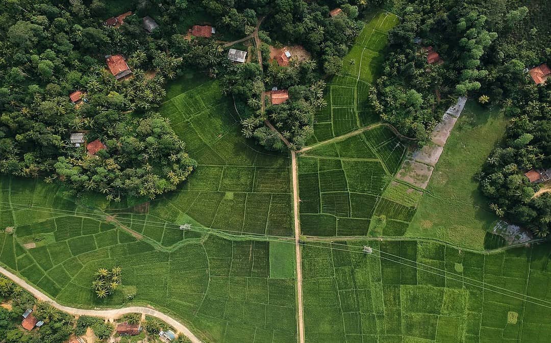 Trendwende bei Erdüberlastung, 15 Milliarden Bäume für Kenia