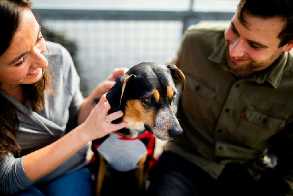 (links) Frau und  (rechts) Mann streicheln Hund (Mitte). Good News Flash