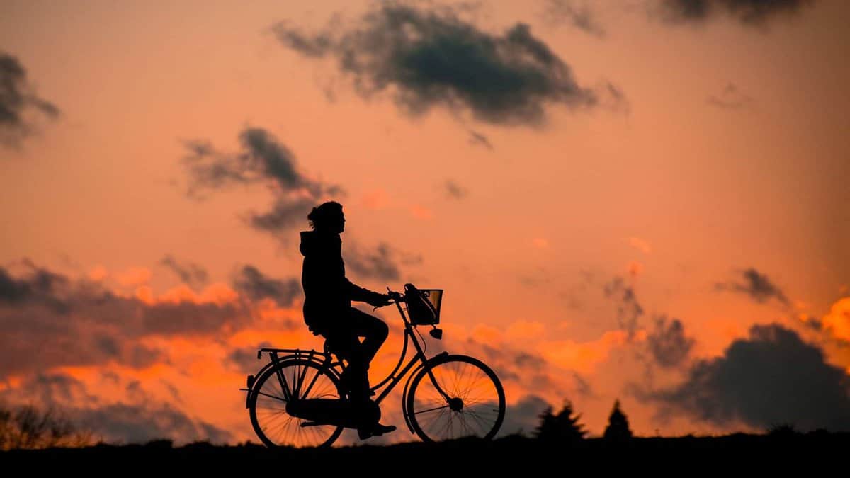 Nachhaltigkeit und Mobilität – jetzt!