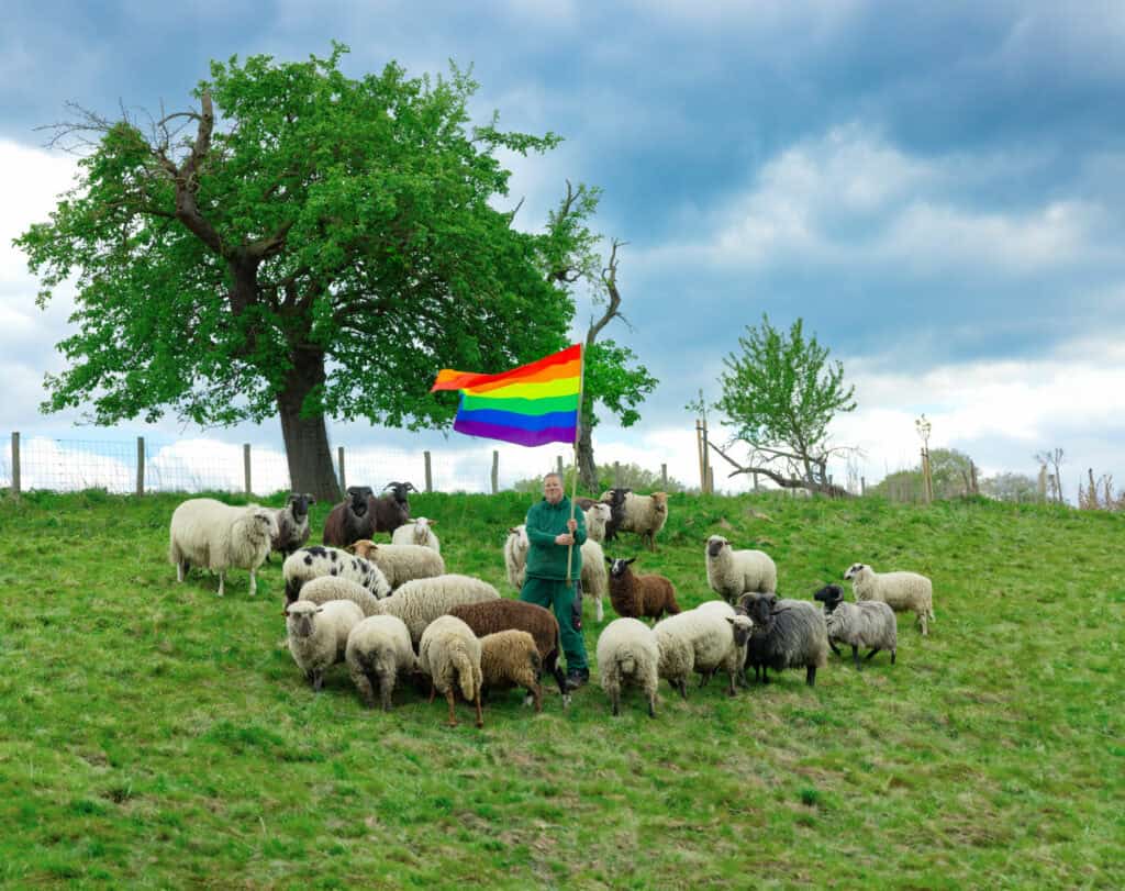 Eine Schaffarm in NRW sorgt für ein Fashion-Statement mit: Zum ersten Mal wurde eine Kollektion aus der Wolle schwuler Schafböcke hergestellt – für die LGBTQIA+ Community!