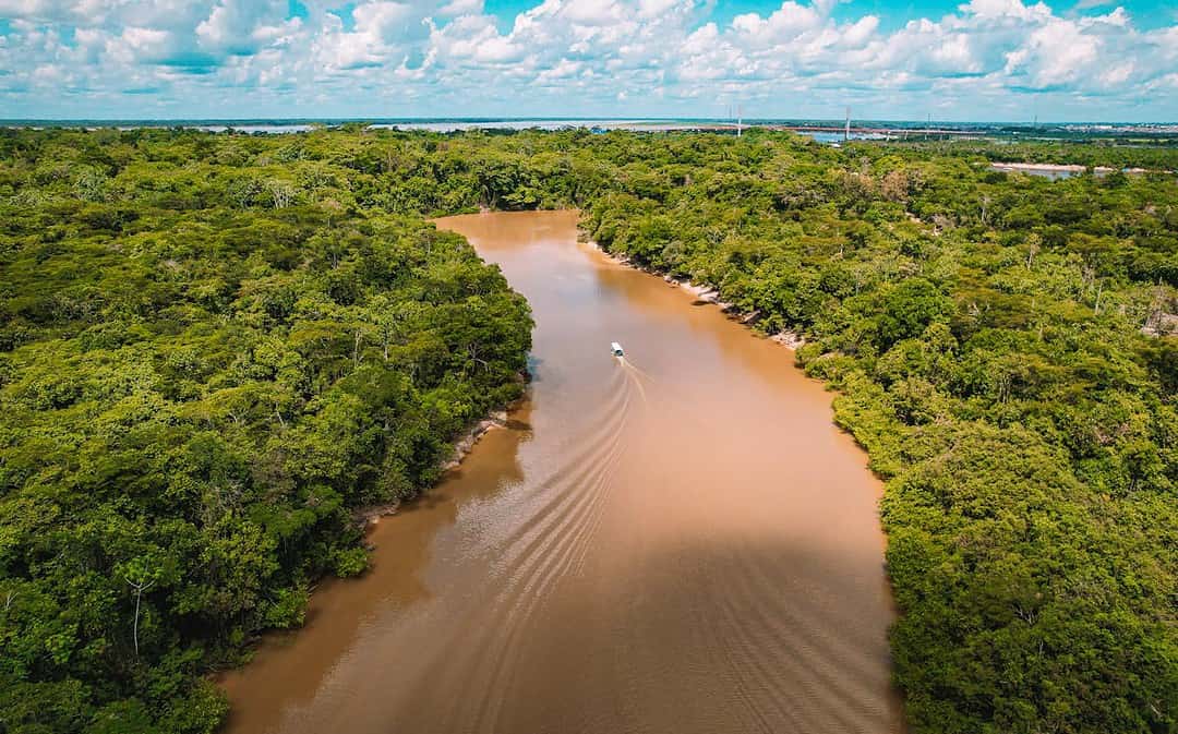 Mini-Grundeinkommen schützt Regenwald, größtes Segel-Frachtschiff der Welt, Einsamkeitsprävention