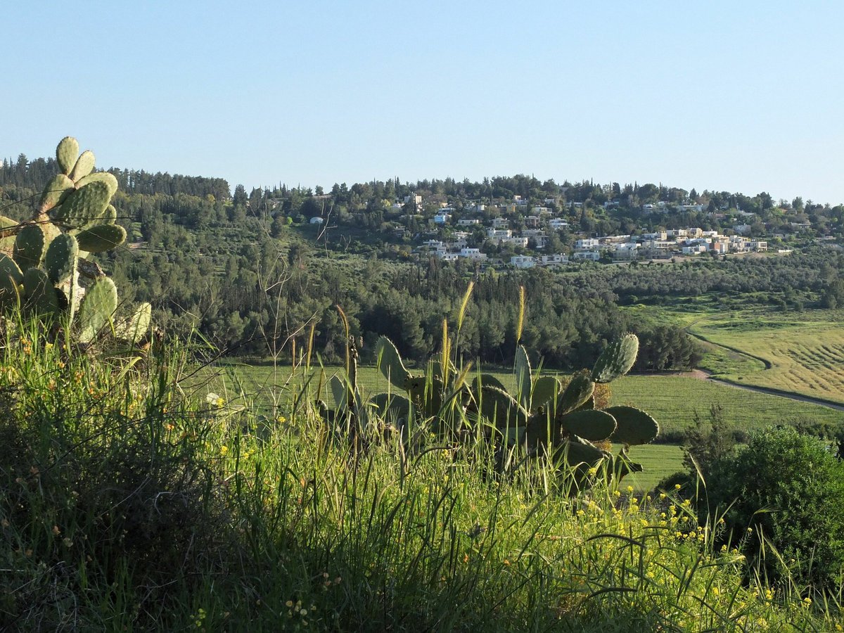 Wahat al-Salam / Neve Shalom ist ein kleines Dorf in Israel, in dem arabische und jüdische Menschen miteinander leben. Sie zeigen: Ein friedliches Miteinander erfordert viel Vertrauen, Zeit und Arbeit – aber es ist möglich. Auch jetzt.