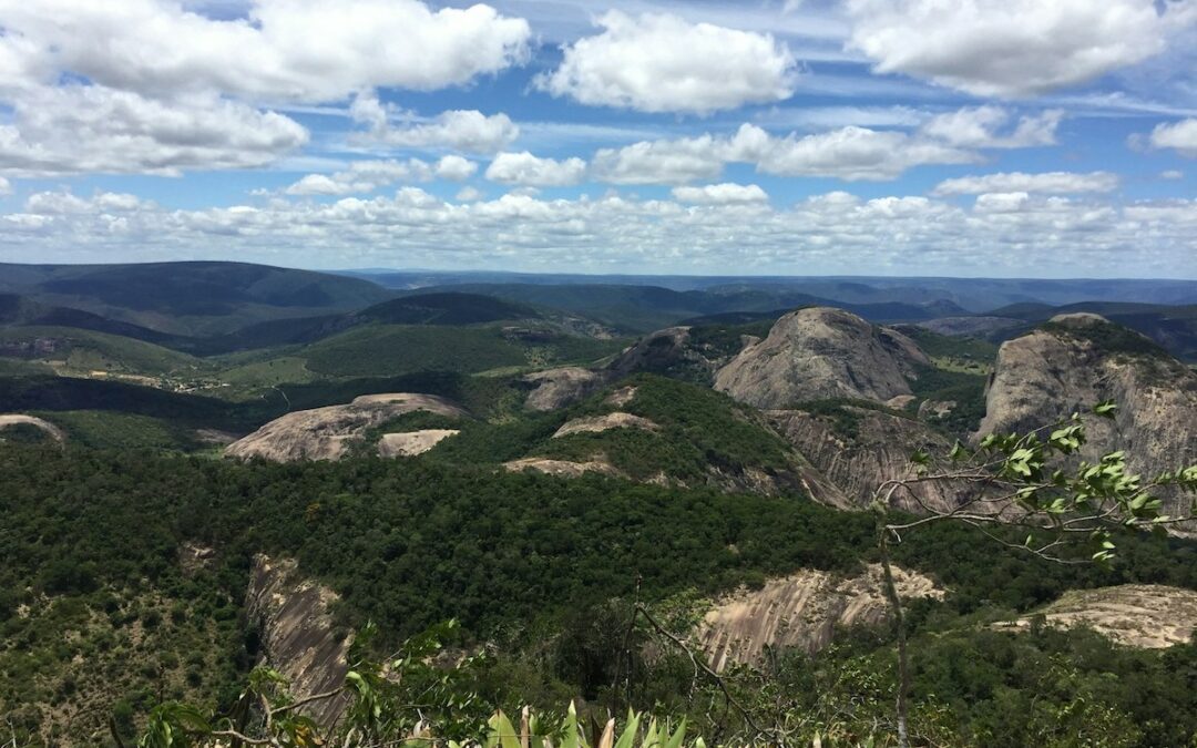 Bäume statt Rinder in Brasilien, Maut gegen Stau