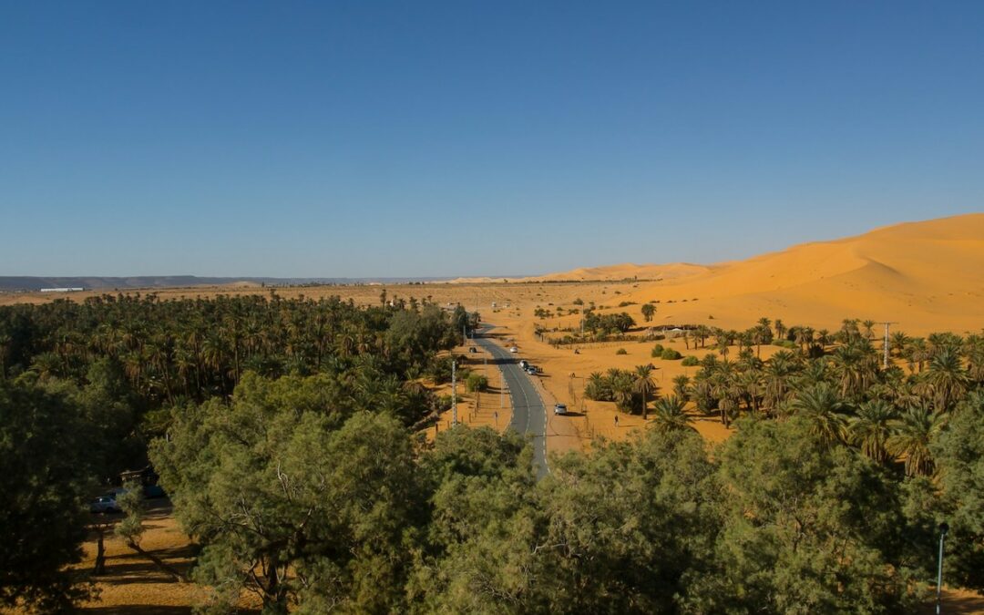 Hoffnung für die Great Green Wall, Masterplan gegen Mobbing