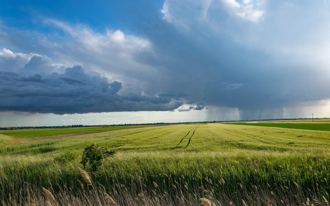 Dänemark startet ehrgeizigen Plan für Renaturierung und nachhaltige Landwirtschaft