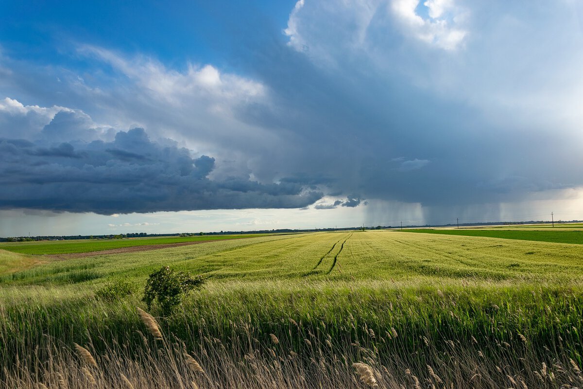 Landwirtschaft