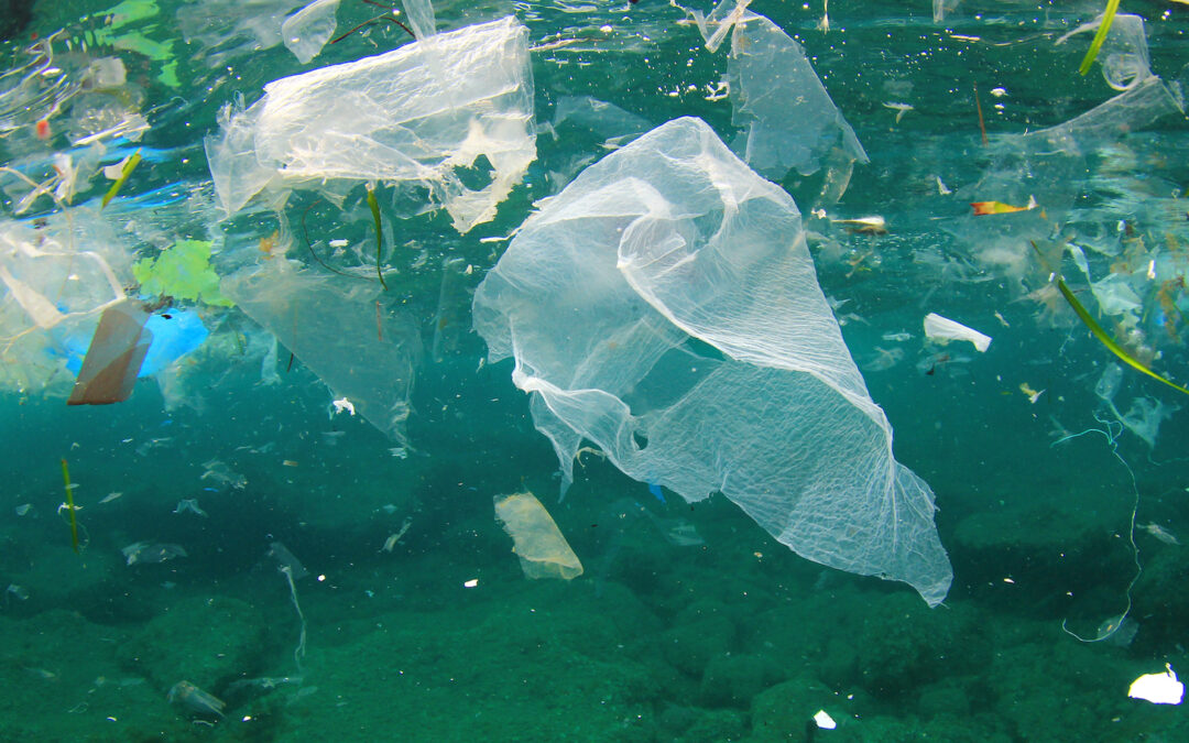 Verschmutzung durch Mikroplastik kann vermieden werden