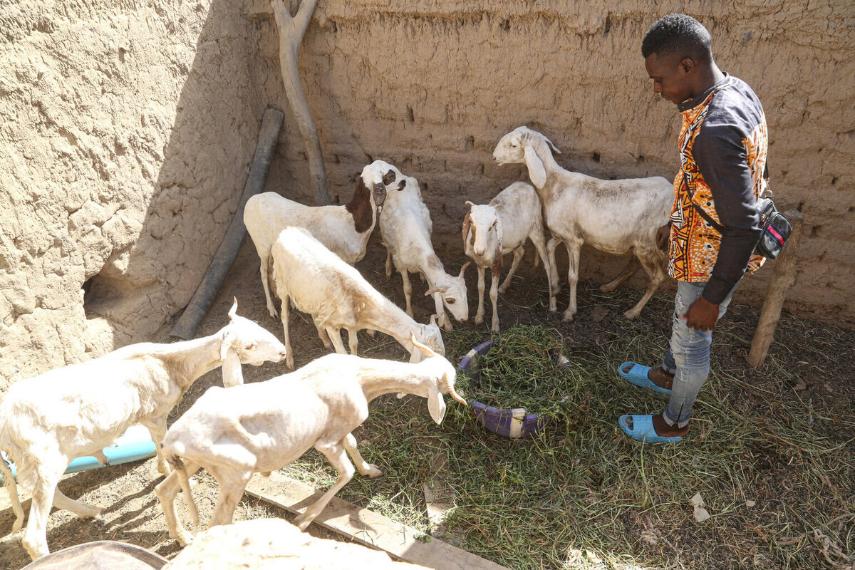 Wie Jugendliche in Mali neue Perspektiven finden