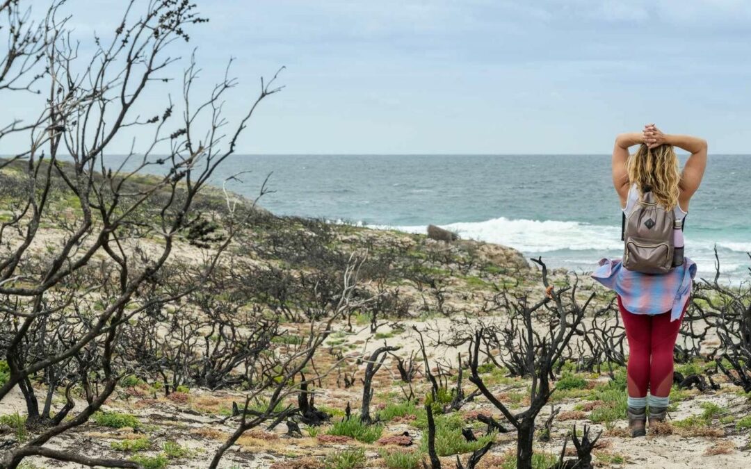 Wie sich die Kangaroo Island nach einem Buschbrand erholt hat