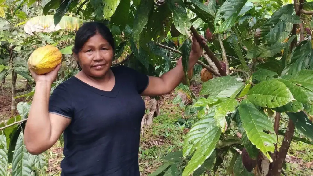 https://www.yves-rocher-fondation.org/wp-content/uploads/Mari-Luz-Canaquiri.webp