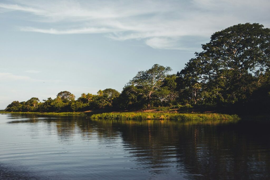 Pantanal, Brasilien