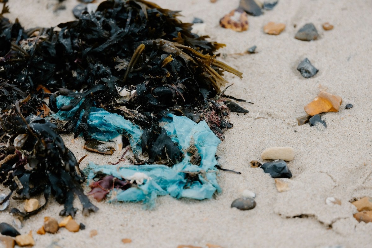 Plastik am Strand