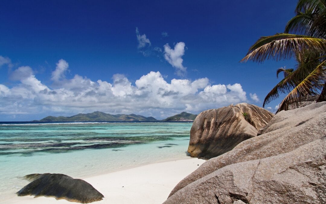 Biodiversität in den Seychellen: Die Wiedergeburt der Insel Moyenne