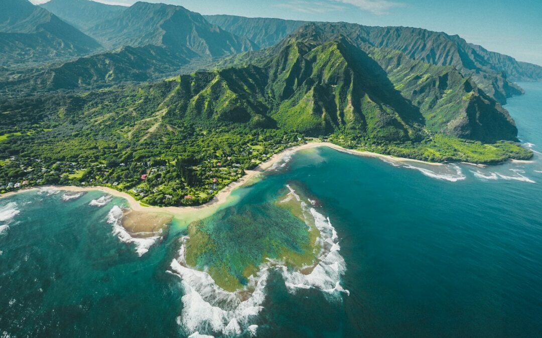 Hawaii führt Klimasteuer ein, Bürgerberatung im „Social Bus“