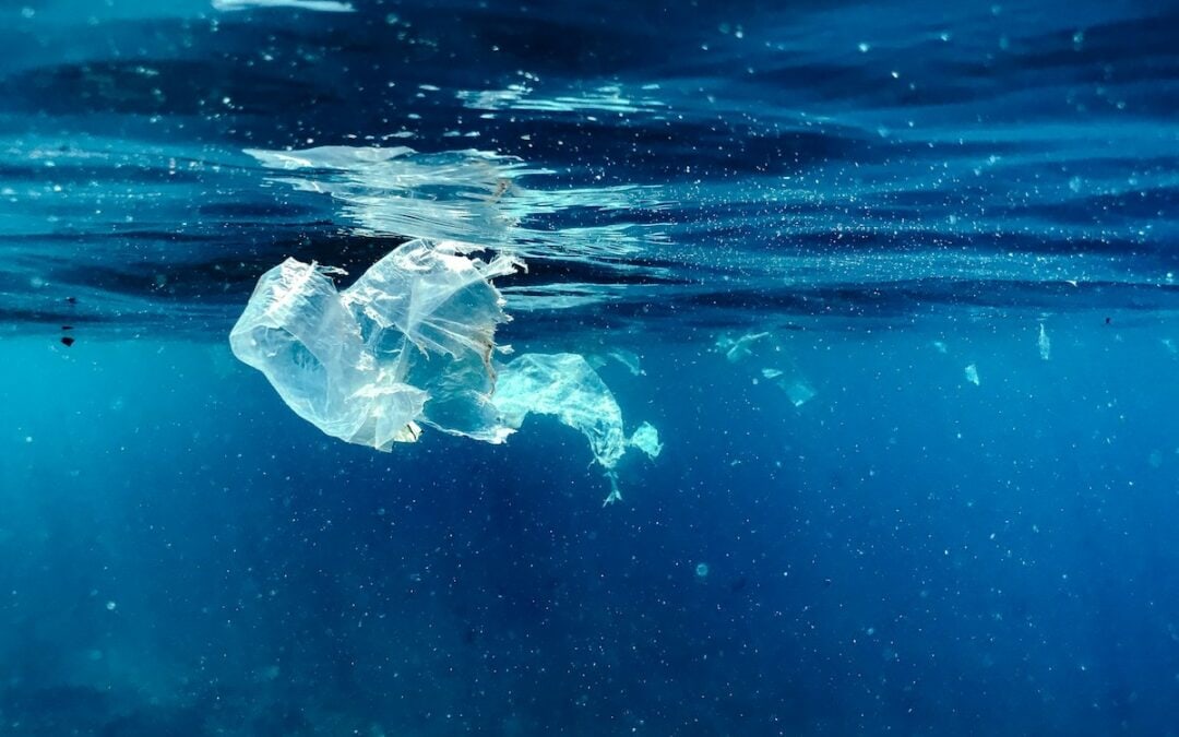 Plastikverbote wirken in USA, EU-Badegewässer immer sauberer