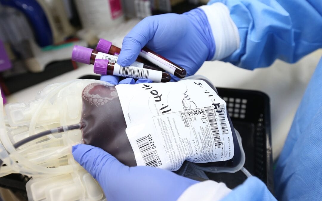 Stammzellenspenden in Deutschland erreichen Rekordhoch