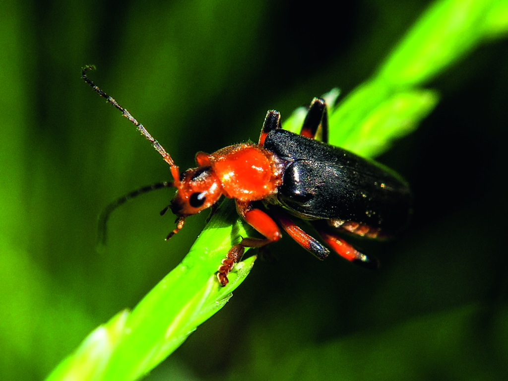 lidia stawinska ZoOAYyDeXwk unsplash