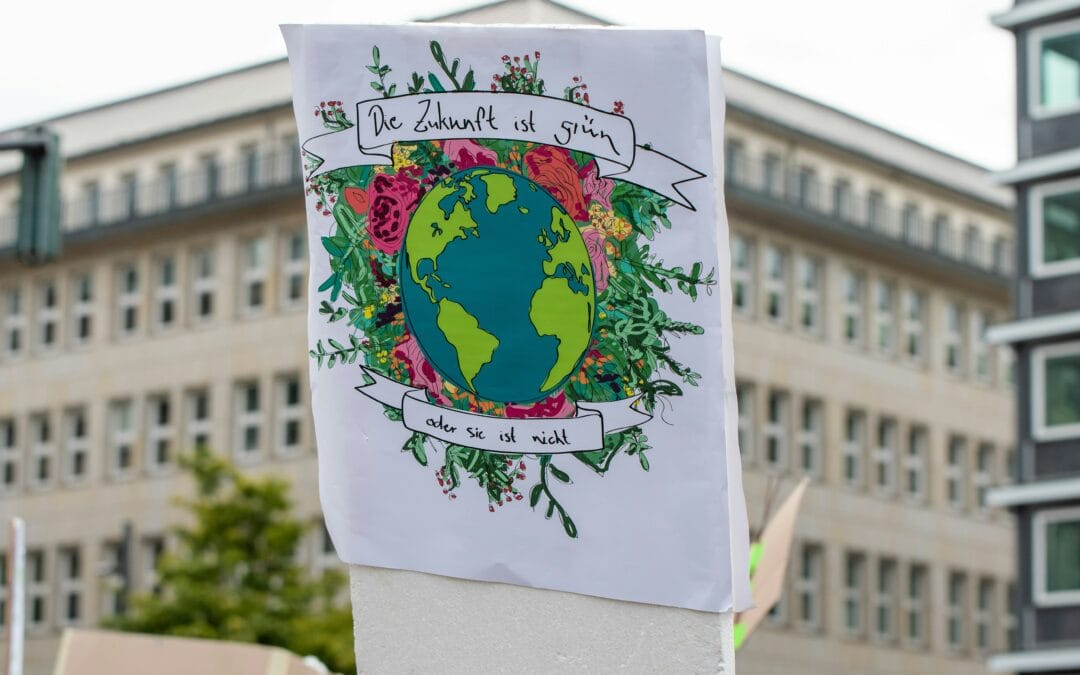 Wie Finance4Nature dich finanziell berät und dabei deine Zukunft schützt